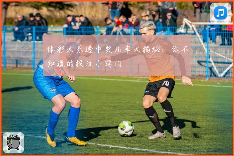 体彩大乐透中奖几率大揭秘,你不知道的投注小窍门
