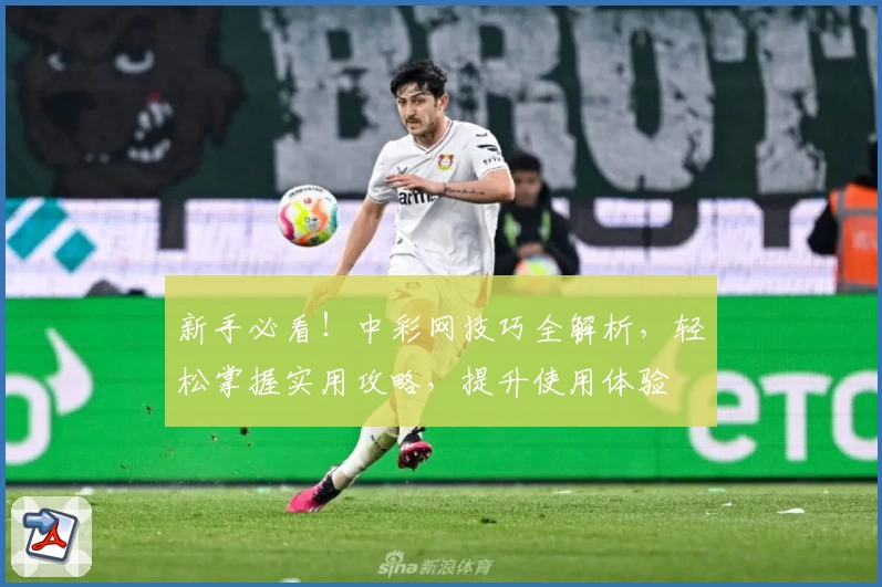 新手必看！中彩网技巧全解析，轻松掌握实用攻略，提升使用体验