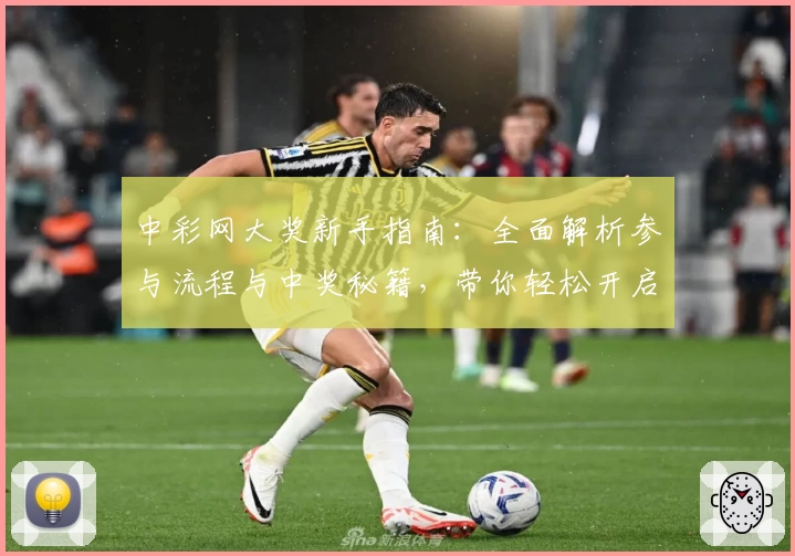 中彩网大奖新手指南：全面解析参与流程与中奖秘籍，带你轻松开启夺奖之旅