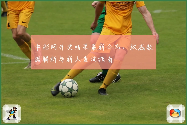 中彩网开奖结果最新公布，权威数据解析与新人查询指南