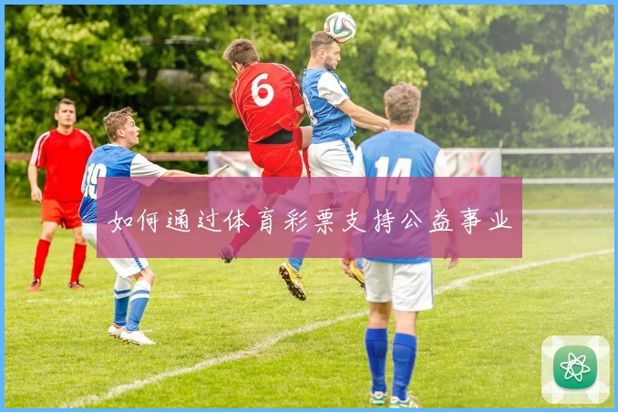 如何通过体育彩票支持公益事业