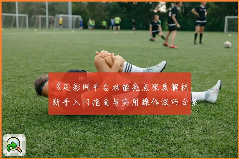 《足彩网平台功能亮点深度解析，新手入门指南与实用操作技巧合集》