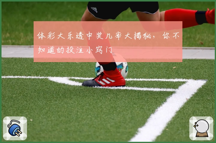 体彩大乐透中奖几率大揭秘，你不知道的投注小窍门
